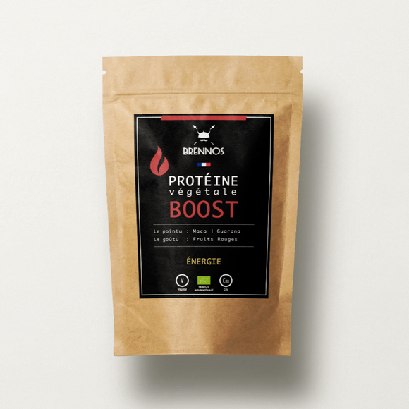 BOOST PROTEIN